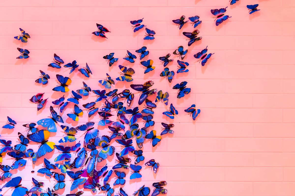 Butterfly Release