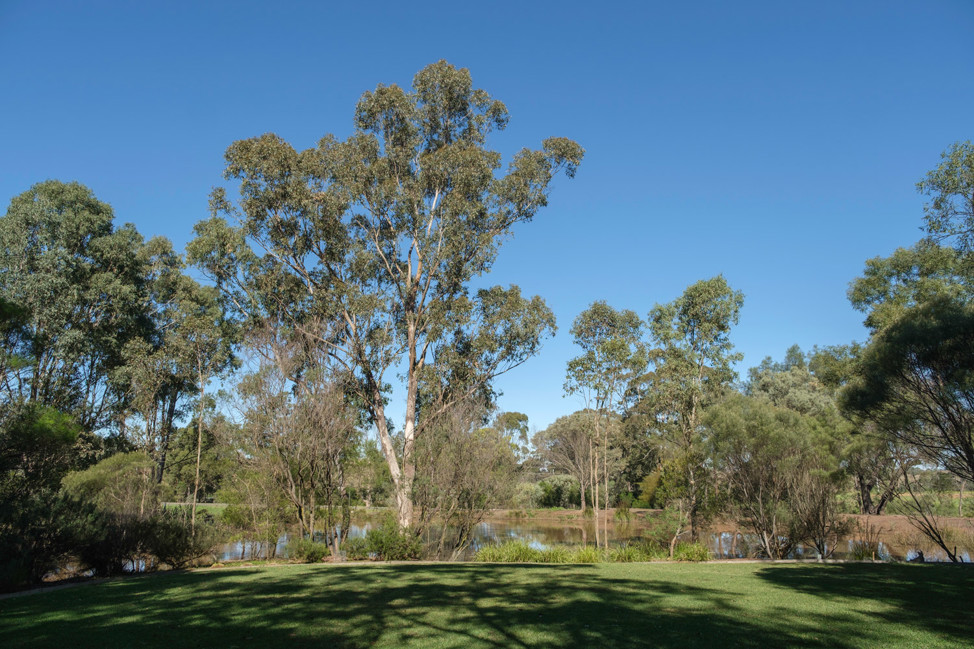 Australian Botanic Garden, Mount Annan