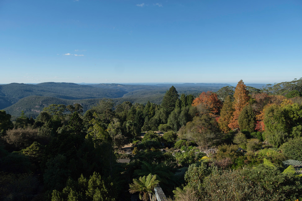 Blue Mountains Botanic Garden, Mount Tomah