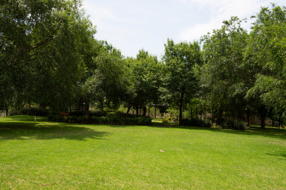 Gazebo at Weir Reserve, Nepean River, Penrith