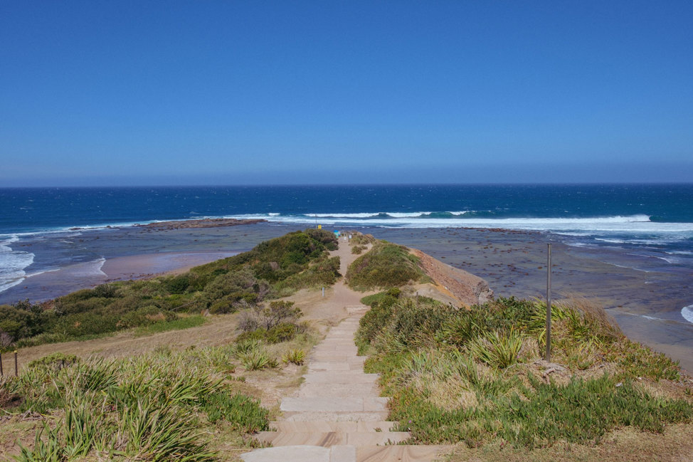 Long Reef Point Lookout, Collaroy